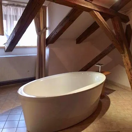 Althanský Palác Penzion 3*